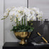 FagusHome 6 Pcs Artificial Phalaenopsis Flowers with 6 Bundles Leaves, Artificial Orchid Flowers Stem Plants for Home
