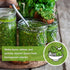 Packet (1) Sow Right Seeds - Cilantro Seeds for Planting - Non-GMO Heirloom with Instructions to Grow a Kitchen Herb