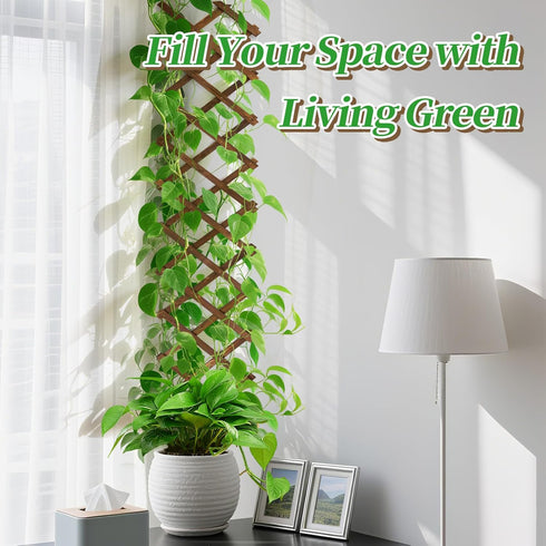 Pack 2 of Extra Thick Wooden Wall Trellis- Expandable Wall Planter Lattice Panels for Climbing Plants, Hanging Vertical