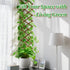 Pack 2 of Extra Thick Wooden Wall Trellis- Expandable Wall Planter Lattice Panels for Climbing Plants, Hanging Vertical