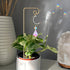 14.17 Inch 4 Pack WellSign Small Trellis for Potted Plants Indoor with Colorful Crystal Sun Catcher, Metal Plant