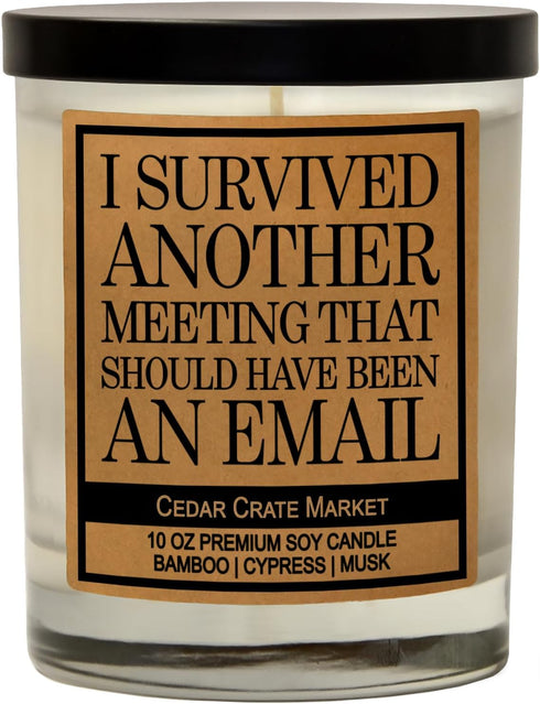 Cedar Crate Market Funny Candles for Women, Men - This Meeting Could Have Been an Email - Gift for Coworkers