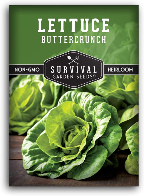 Buttercrunch Lettuce Seeds for Planting - Crisp Bibb Butter Lettuce Seeds for