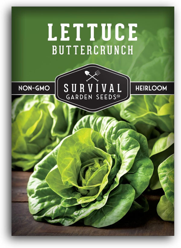 Buttercrunch Lettuce Seeds for Planting - Crisp Bibb Butter Lettuce Seeds for