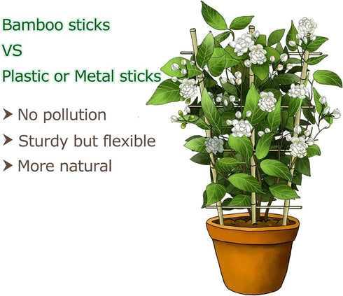 24 Inch 3 Pack Cambaverd Trellis for Potted Plants, Bamboo Trellis Indoor, Natural Garden Trellis for Climbing Plant