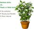 24 Inch 3 Pack Cambaverd Trellis for Potted Plants, Bamboo Trellis Indoor, Natural Garden Trellis for Climbing Plant