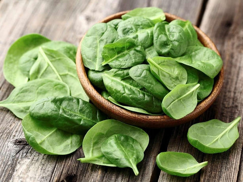 SeedsUA Seeds Spinach Winter Giant Water Heirloom Vegetable for Planting Non GMO