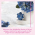 nora fleming Star of David (Blue Star) A122 - Hand-Painted Ceramic Unique Décor for Home and Office