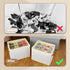 2 Pack Closet 24 Patinao Shoe Storage Box Organizer for - Cell Space Saver Shoes Containers Bin with Clear Lids