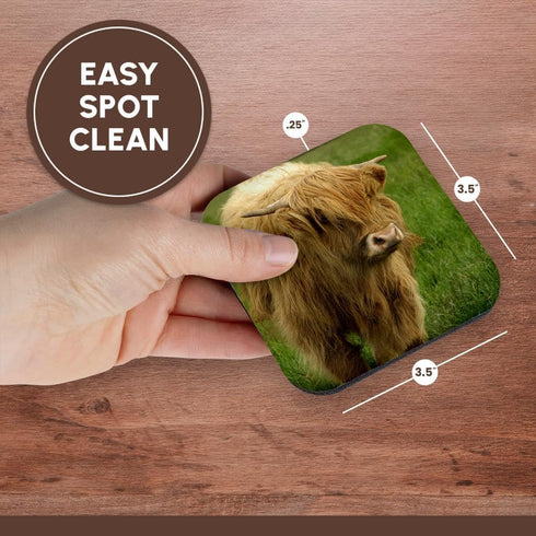3dRose Scotland, Highland Cow - Farm Animal Soft Coasters, Set of 8 (CST_82799_2)