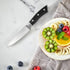 Paring Knife, 4 Inch Ultra Sharp German Stainless Steel Kitchen Knife for Fruit and Vegetable Chopping