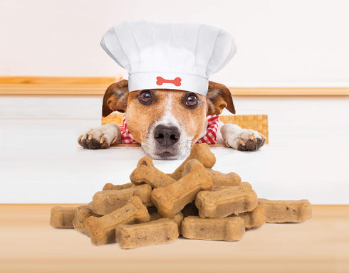 Mrs. Anderson's Baking Silicone Dog Biscuit Pan, Non-Stick European-Grade Silicone
