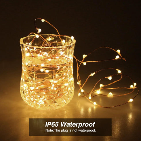 Efirisey in,33Ft 100 Fairy Lights Plug LEDs Copper Lights Warm White,Christmas Lights Indoor Outdoor,Led Fairy String