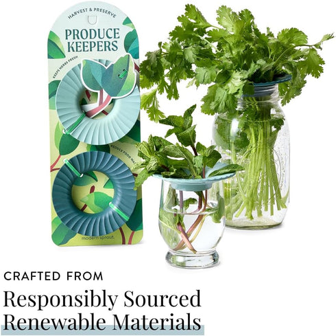 2 2 Pack Modern Sprout Produce Keeper for Fresh Herbs & Greens - Eco-Friendly, BPA-Free, Sustainable Materials