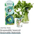2 2 Pack Modern Sprout Produce Keeper for Fresh Herbs & Greens - Eco-Friendly, BPA-Free, Sustainable Materials
