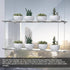 ZerzSemp 2-Tier 16" Acrylic Window Display Shelves Adjustable Clear Racks for Herbs, flowers and Indoor Greenery