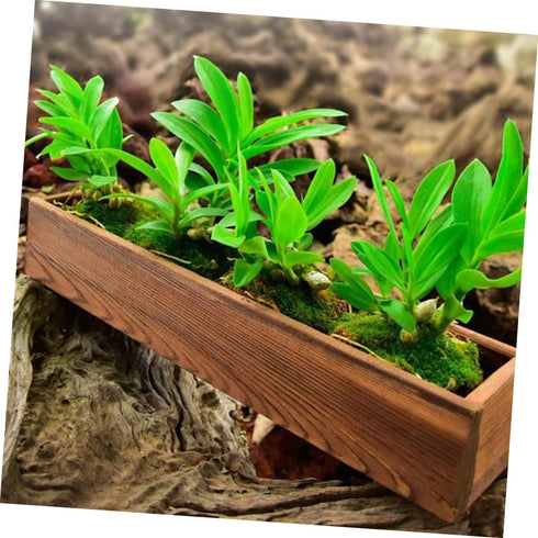 Wood Flower Box Cedar Window Boxes Tiestos para Exterior Indoor Flower Pots Wood Rectangular Planter Pots for Outdoor Plants Fence Plant Pot Wood Fence Wooden Square