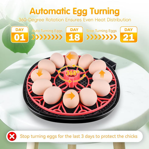 Xiejiutianxrg 12-24 Display,360 (M12H) Egg incubators for Hatching Eggs, Automatic Egg Turning Poultry Incubator