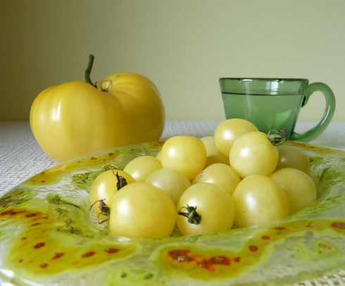 SeedsUA Seeds Cherry Tomato Snow White Heirloom Vegetable for Planting Non GMO