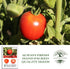25+ Packet, 90% Early Girl Tomato Seeds for Planting, Seeds Per (Isla's Garden Seeds), Non GMO Seeds, Botanical Name: