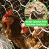 36inch 50ft 2 Inch Amagabeli Chicken Wire Fencing Poultry Wire Netting x Hexagonal Galvanized Mesh Garden Fence Animal