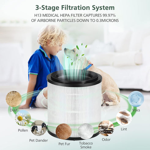 KJ150F-C02 True HEPA Replacement Filter for SilverOnyx 5-Speed Air Purifier, Large Room 500 sq ft for Pets, Smoke