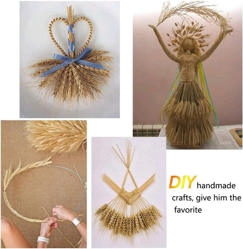 100 Pcs Dried Wheat Sheaves Bundle, Golden Natural Wheat Bouquet for Fall Farmhouse DIY Decor (16")