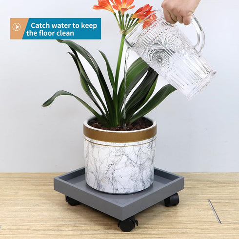 Sanbege 11" Plant Caddy with Wheels, Square Plant Pallet, Plant Pot Trolley (Grey)