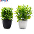 OFFIDIX Mini Plastic Artificial Eucalyptus Leaves, Faux Plant with Pots for Home and Office Decor