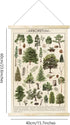 Tevxj Vintage Tree Poster Plant Wall Art Prints, Rustic Style Arboretum Wall Hanging Illustrative Reference Chart for