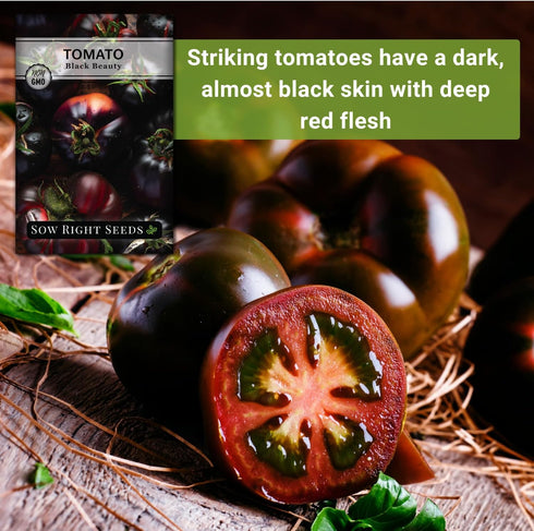Packet (1) Sow Right Seeds - Black Beauty Tomato Seeds for Planting - Non-GMO Heirloom with Instructions to Plant an