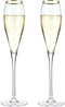 Viski Gold-Rimmed Crystal Champagne Flutes, Stemmed Wine Martini Glass Set, Housewarming Wedding Wine Gift - Set of 2,