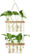 Hyindoor Wall Hanging Planter Terrarium 2 Tired Test Tube Vase Glass Planter Plant