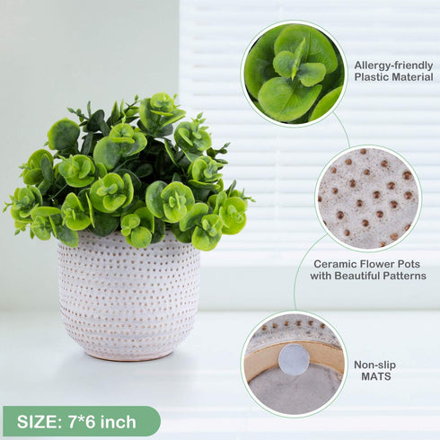 Artificial Lysimachia Plants in Ceramic Planter, Cute Fake Succulent Flowers for Home Office Table Desk Decor, Living