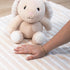 Set 0+ The Peanutshell Gift Adorable Fluffy Stuffed Animal Bunny Rabbit & Pink Baby Blanket for Girls, Cute Plushies