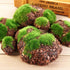 6Pcs Foam Moss Green Hay Stone: DIY Family Garden Decoration for Miniature Landscape
