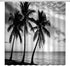 Ocean Beach Shower Curtain Tropical Palm Tree Landscape Black and White Sea Summer Seaside Scene Coastal Island Hawaii Nature Fabric Bath Curtain with Hook by Generic