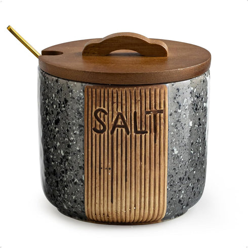 Salt Cellar with Lid & Spoon, Ceramic Salt Container for Countertop, 10