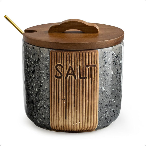 Salt Cellar with Lid & Spoon, Ceramic Salt Container for Countertop, 10