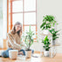 YOCOMEY 4 Tier Plant Stand Indoor, Thickened Metal Wood Corner Plant Shelf Stands for Multiple Plants, Indoor Tall