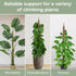 2 Pack 48'' Bendable Moss Pole Monstera Plant Support for Climbing Indoor Plants - Stakes for Potted Climbers - Tall