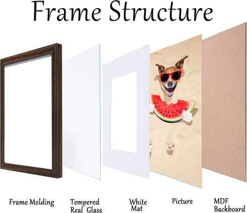 8x8 8 8 4 4 8 8 8x8 Picture Frame Walnut, Oak Wooden x Picture Frames Matted to x Square x Frame with Real Glass