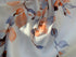 Watercolor Fall Leaves Window Valance: 54 x 18 Inch Orange Leaf Vine Curtains for Bedroom and Living Room