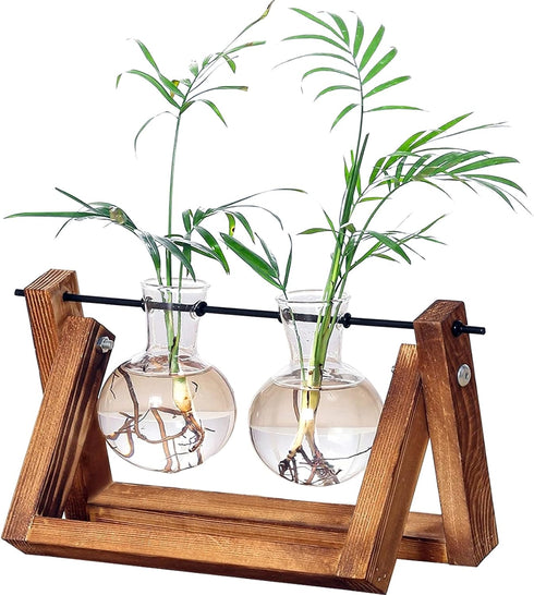 Kingbuy Glass Desktop Planter with Retro Wooden Stand and Plant Terrarium vase