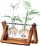 Kingbuy Glass Desktop Planter with Retro Wooden Stand and Plant Terrarium vase
