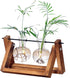 Kingbuy Glass Desktop Planter with Retro Wooden Stand and Plant Terrarium vase