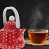 Luxshiny Enamel Stovetop Pour-Over Coffee and Tea Kettle, Small Boiling Water Pot, Camping Teapot