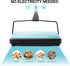 Yocada Carpet Sweeper Cleaner for Home Office, Low Carpets, Rugs, Pet Hair Dust Scraps, Small Rubbish Cleaning with