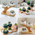 Window Sill Plant Shelf 2 Pack, Small Bamboo Desk Plant Stand, 3 Tier Succulent Plant Stand for Home Office Decoration