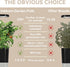 12 (350+ Shis0, Chic0ry) inbloom Culinary Herbs Seed Pod Kit for Hydroponics Growing System, Pods Seeds with Basil